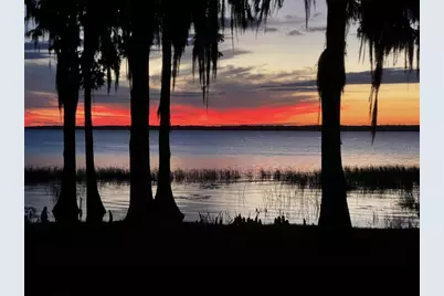 11322 Dead River Road, Tavares, FL 32778 - Photo 2