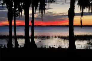 11322 Dead River Rd, Tavares, FL 32778 - Photo 2