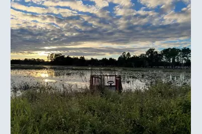 19751 County Road 33, Groveland, FL 34736 - Photo 16