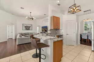 2309 Wolf Ridge Ln, Mount Dora, FL 32757 - Photo 12