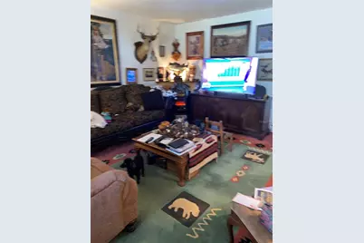 1050 Cr 482D, Lake Panasoffkee, FL 33538 - Photo 6