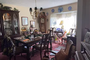 1050 Cr 482D, Lake Panasoffkee, FL 33538 - Photo 8