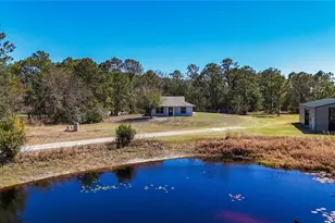 4620 405th St E, Myakka City, FL 34251 - Photo 36