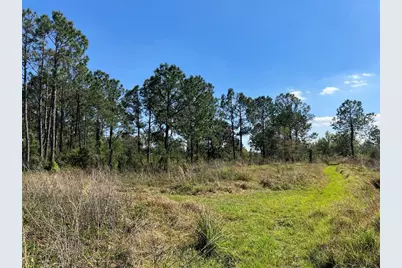 4620 405th Street E, Myakka City, FL 34251 - Photo 40