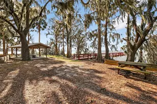 1242 Palmetto Rd, Eustis, FL 32726 - Photo 36