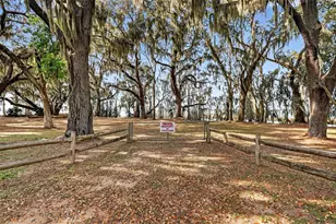 1242 Palmetto Rd, Eustis, FL 32726 - Photo 34