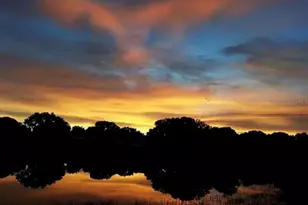 307 Del Mar Dr, Lady Lake, FL 32159 - Photo 22