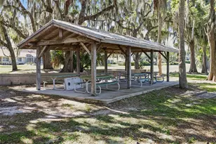 1224 Palmetto Rd, Eustis, FL 32726 - Photo 36