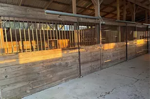 10555 NW 28th Pl, Ocala, FL 34482 - Photo 40