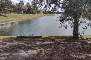 2006 Bayside Ave, Mount Dora, FL 32757 - Photo 30