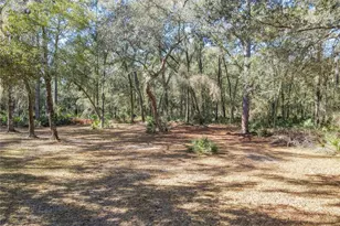 19534 Fox Den Ln, Altoona, FL 32702 - Photo 64