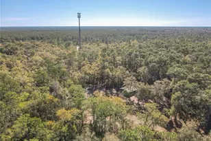 19534 Fox Den Ln, Altoona, FL 32702 - Photo 70