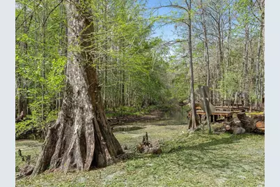 8701 Cr 647 S, Bushnell, FL 33513 - Photo 22