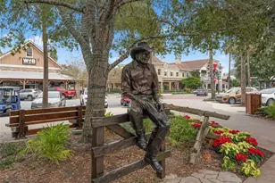 909 Vanilla Leaf Pl, The Villages, FL 32163 - Photo 56