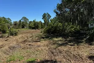 Cove Rd, Tavares, FL 32778 - Photo 1