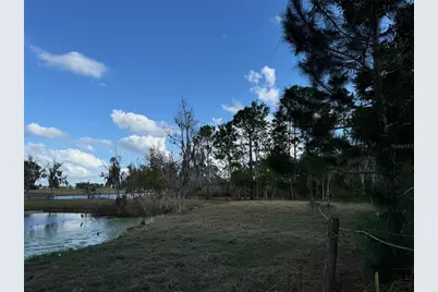 Cove Road, Tavares, FL 32778 - Photo 8