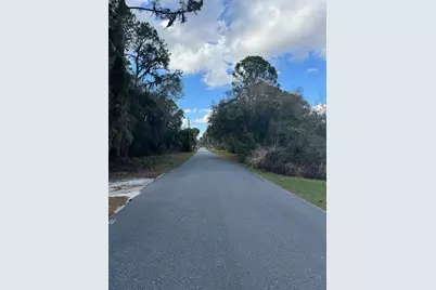 Cove Road, Tavares, FL 32778 - Photo 4