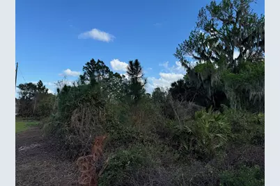 Cove Road, Tavares, FL 32778 - Photo 8