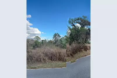 Cove Road, Tavares, FL 32778 - Photo 10