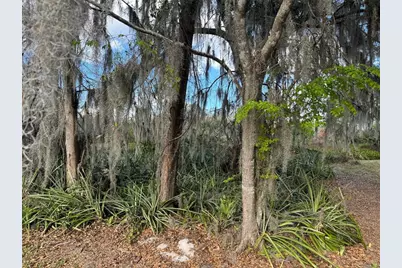 Cove Road, Tavares, FL 32778 - Photo 16