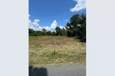 Cove Road, Tavares, FL 32778 - Photo 14