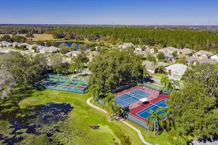 25312 Green Heron Dr, Leesburg, FL 34748 - Photo 20