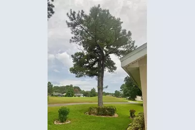 1824 Stafford Springs Boulevard, Mount Dora, FL 32757 - Photo 20
