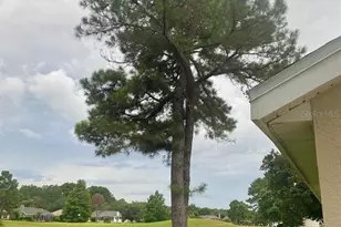 1824 Stafford Springs Blvd, Mount Dora, FL 32757 - Photo 20