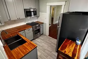 320 N Rhodes St, Mount Dora, FL 32757 - Photo 30