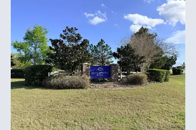 8013 Sergeant Pepper Dr, Howey in the Hills, FL 34737 - Photo 60