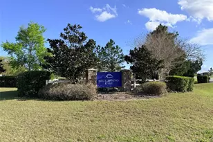 8013 Sergeant Pepper Dr, Howey in the Hills, FL 34737 - Photo 60