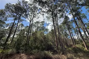 Cashew St, Eustis, FL 32736 - Photo 1