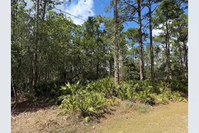 Cashew Street, Eustis, FL 32736 - Photo 4