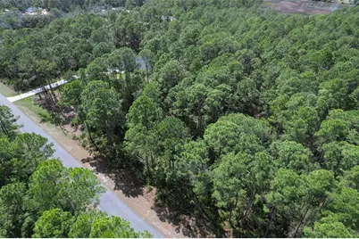 Cashew Street, Eustis, FL 32736 - Photo 14