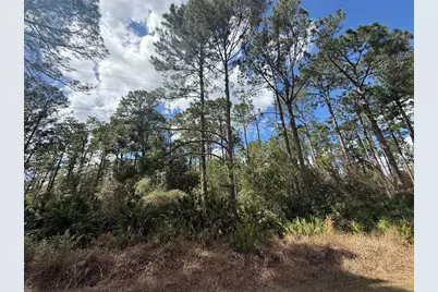 Cashew Street, Eustis, FL 32736 - Photo 10