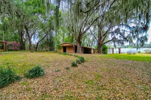 913 Sheila Pl, Apopka, FL 32703 - Photo 34