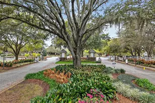 30516 Gidran Terrace, Mount Dora, FL 32757 - Photo 64
