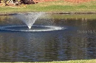 8905 Legacy Ct, Kissimmee, FL 34747 - Photo 46