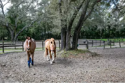 22301 Coronado Somerset Drive, Sorrento, FL 32776 - Photo 64