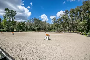 22301 Coronado Somerset Dr, Sorrento, FL 32776 - Photo 58