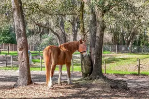 22301 Coronado Somerset Dr, Sorrento, FL 32776 - Photo 70
