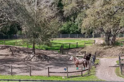 22301 Coronado Somerset Drive, Sorrento, FL 32776 - Photo 66