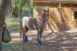 22301 Coronado Somerset Dr, Sorrento, FL 32776 - Photo 68