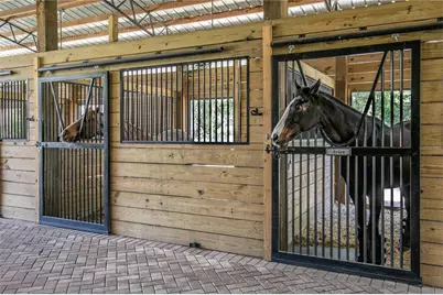 22301 Coronado Somerset Drive, Sorrento, FL 32776 - Photo 50