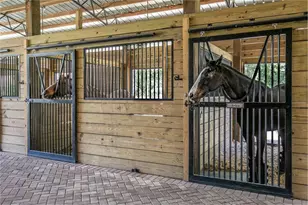 22301 Coronado Somerset Dr, Sorrento, FL 32776 - Photo 50