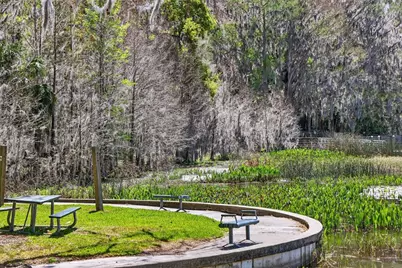 1120 Gardner Lane, Mount Dora, FL 32757 - Photo 50