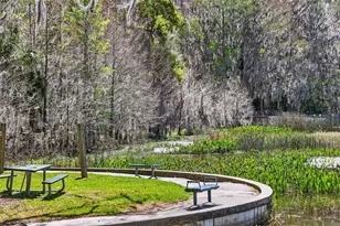 1120 Gardner Ln, Mount Dora, FL 32757 - Photo 50