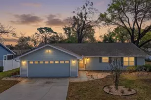 1120 Gardner Ln, Mount Dora, FL 32757 - Photo 1