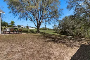 33142 Kaylee Way, Leesburg, FL 34788 - Photo 6