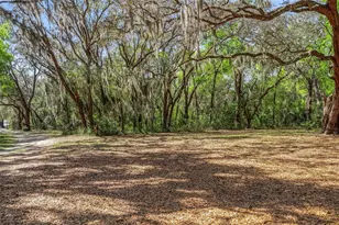 2917 Lake Griffin Rd, Lady Lake, FL 32159 - Photo 54